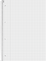 Spiralblock kariert 80 Blatt